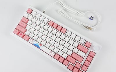 AKKO MOD007B PC HE Tokyo Mechanical Keyboard Review